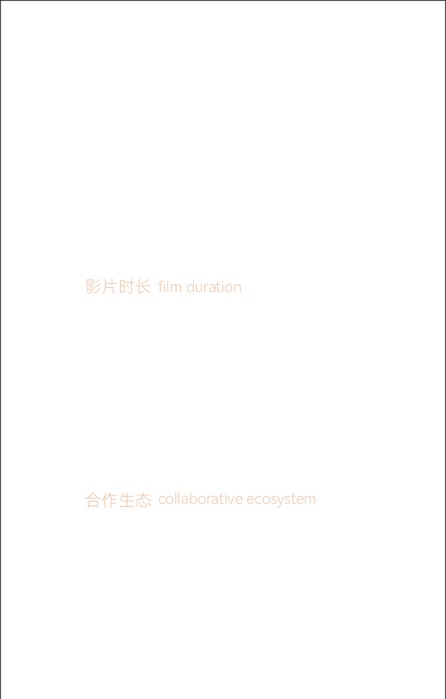 缩略图 4