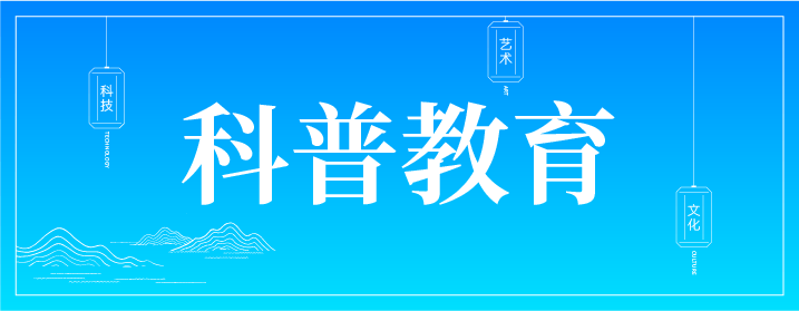 按钮 5